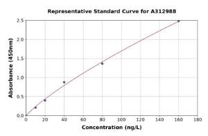 Representative standard curve for Human IFNK ELISA kit (A312988)