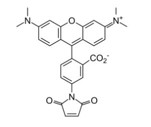 5-tamra maleimide 421 1 mg