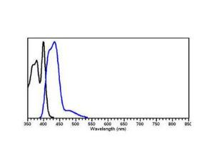 Anti-IgG Donkey Polyclonal Antibody (DyLight® 405)