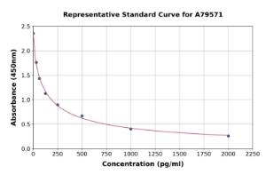 Representative standard curve for Human Pro-Neuropeptide Y ELISA kit (A79571)