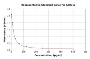 Representative standard curve for Human Big Dynorphin ELISA kit (A78017)