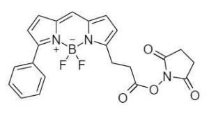 Bodi fluor/trade r6 703 5 mg