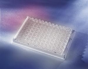 Pierce™ Maleic Anhydride Activated Plates, 96-Well, Thermo Scientific
