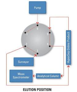 HyperSep™ UniGuard Direct-Connect Online SPE Columns, Thermo Scientific