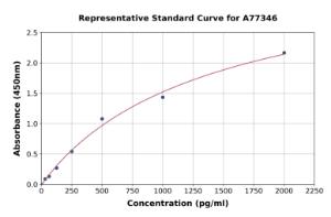 Representative standard curve for Human SMN/Gemin 1 ELISA kit (A77346)