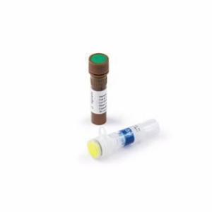 Cell free DNA ScreenTape reagent