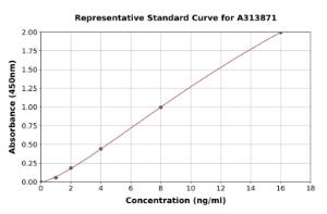 Representative standard curve for human Podoplanin/gp36 ELISA kit (A313871)