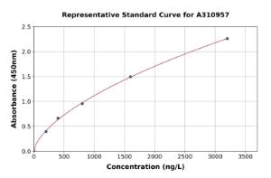 Representative standard curve for Human MNDA ELISA kit (A310957)