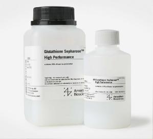 Glutathione Sepharose™ High Performance