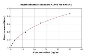 Representative standard curve for Rat ERK1 + ERK2 ELISA kit (A78040)