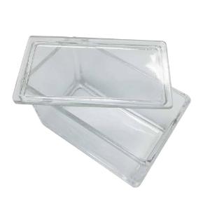 Glass staining dish with lid, 60 slide capacity