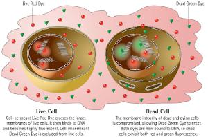 EarlyTox™ Cell Integrity Kit, Molecular Devices