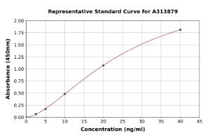 Representative standard curve for human MAP1A ELISA kit (A313879)