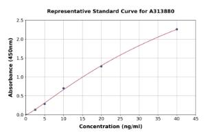 Representative standard curve for human STK3/MST-2 ELISA kit (A313880)