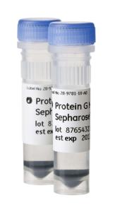 Protein G Mag Sepharose Xtra