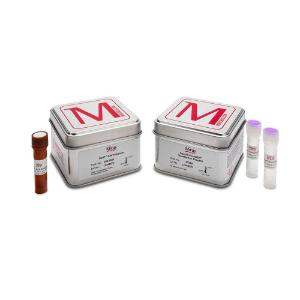 VirusGEN® AAV transfection kit with RevIT™ AAV enhancer, for 1 L cell culture