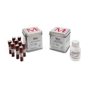 VirusGEN® AAV transfection kit with RevIT™ AAV enhancer, for 10 L cell culture