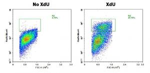 Proliferation kit bucc µlite xdu cell