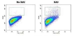 Proliferation kit bucc µlite xdu cell