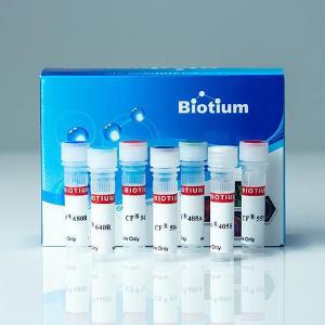 Biotium microvials, CF dye