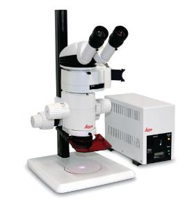 Leica MZ10 F fluorescence stereo microscope