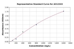 Representative standard curve for Human CTCF ELISA kit (A312243)