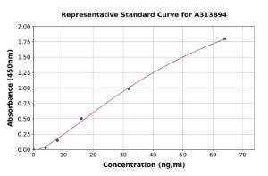 Representative standard curve for human CD74 ELISA kit (A313894)
