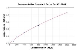 Representative standard curve for Human RAB7 ELISA kit (A312244)