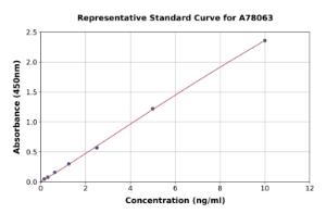 Representative standard curve for Mouse Fibrinogen ELISA kit (A78063)