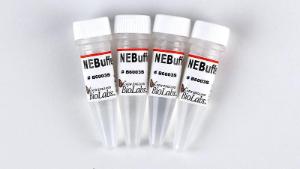 Nebuffer™ r3.1 - 5 ml