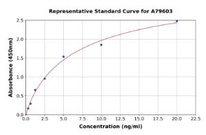 Representative standard curve for Human KIAA0101 ELISA kit (A79603)