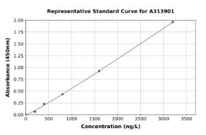 Representative standard curve for human WIF1 ELISA kit (A313901)
