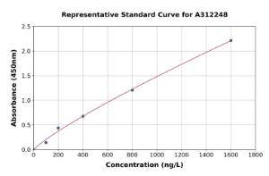 Representative standard curve for Human Drebrin ELISA kit (A312248)