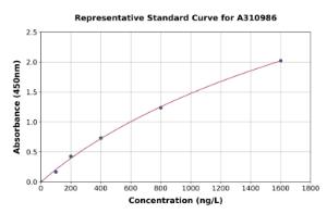 Representative standard curve for Human KAT2 / AadAT ELISA kit (A310986)