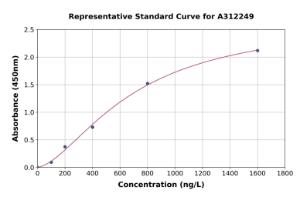 Representative standard curve for Human HACE1 ELISA kit (A312249)