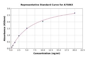 Representative standard curve for Mouse STAT1 ELISA kit (A75863)