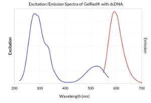GelRed® Prestain Plus 6X DNA loading dye, 1 ml