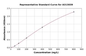 Representative standard curve for Human EXOSC3 ELISA kit (A313039)