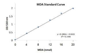 Lipid Peroxidation (MDA) Colorimetric/Fluorometric Assay Kit, BioVision
