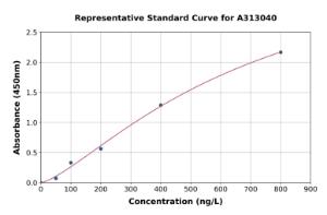 Representative standard curve for Human NDUFS8 ELISA kit (A313040)