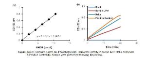 Phosphoglucose Isomerase Activity Colorimetric Assay Kit, BioVision