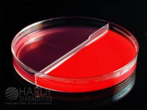 Blood Agar, Hardy Diagnostics