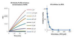 Neutrophil Elastase Inhibitor Screening Kit  (Fluorometric), BioVision