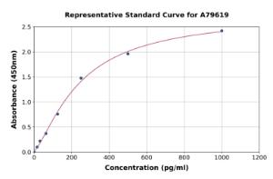 Representative standard curve for Rat Podoplanin/gp36 ELISA kit (A79619)