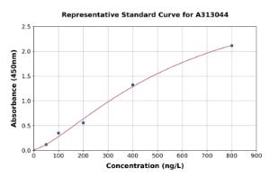 Representative standard curve for Human SerpinB7 ELISA kit (A313044)