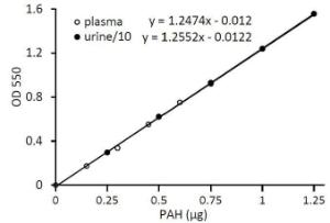 PAH (p-Aminohippuric Acid) Colorimetric Assay Kit, BioVision