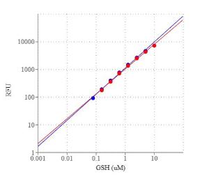 Amplite/trade rapid 10060