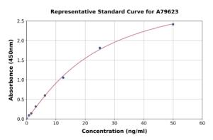 Representative standard curve for Rat PF4 ELISA kit (A79623)