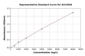 Representative standard curve for Human IGF2BP2/IMP-2 ELISA kit (A313046)