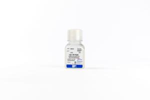 10X Trypsin HBSS w/o calcium and magnesium, 100 ml